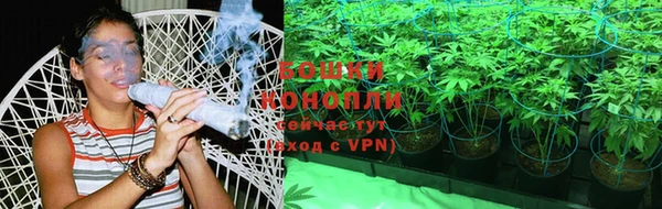 бошки Мегион