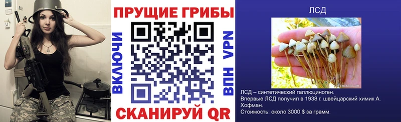 Галлюциногенные грибы Magic Shrooms  Балахна 