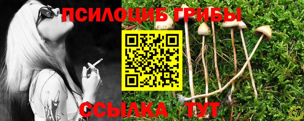 Псилоцибиновые грибы GOLDEN TEACHER Балахна