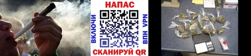 Шишки марихуана планчик Балахна